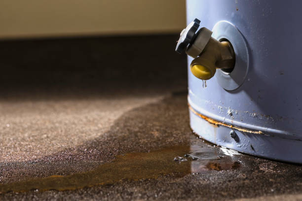 Best Sewage cleanup and water damage restoration  in Campbellsport, WI