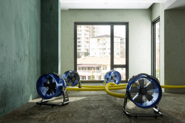 Best Flood restoration services  in Campbellsport, WI