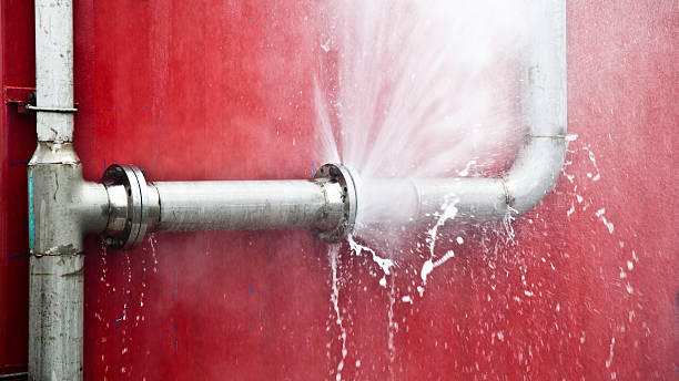 Best 24-hour water damage restoration  in Campbellsport, WI
